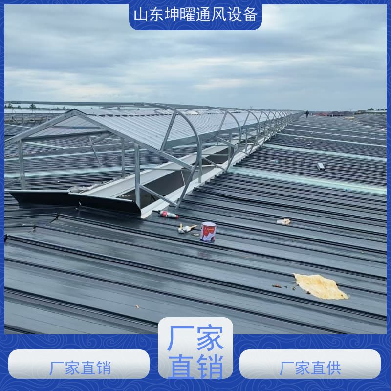 通风天窗 IV型采光窗 公司