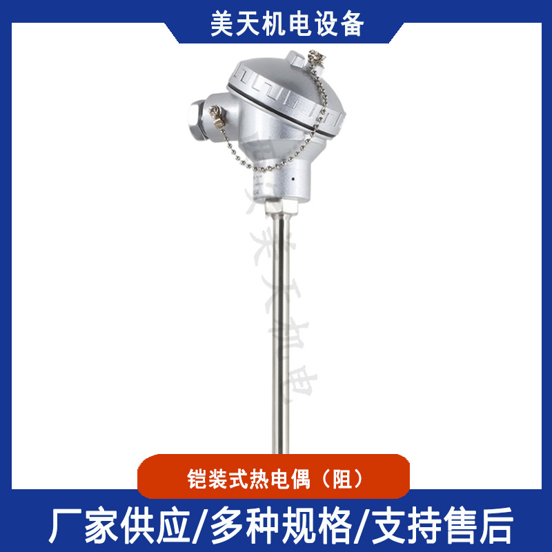 WRNK铠装热电偶 防爆耐磨热铠装电阻WZP