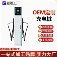 电压互感器JSZW2-10厂家