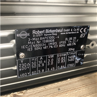 德国Robert Birkenbeul三相异步交流电机型号6AP100L-8