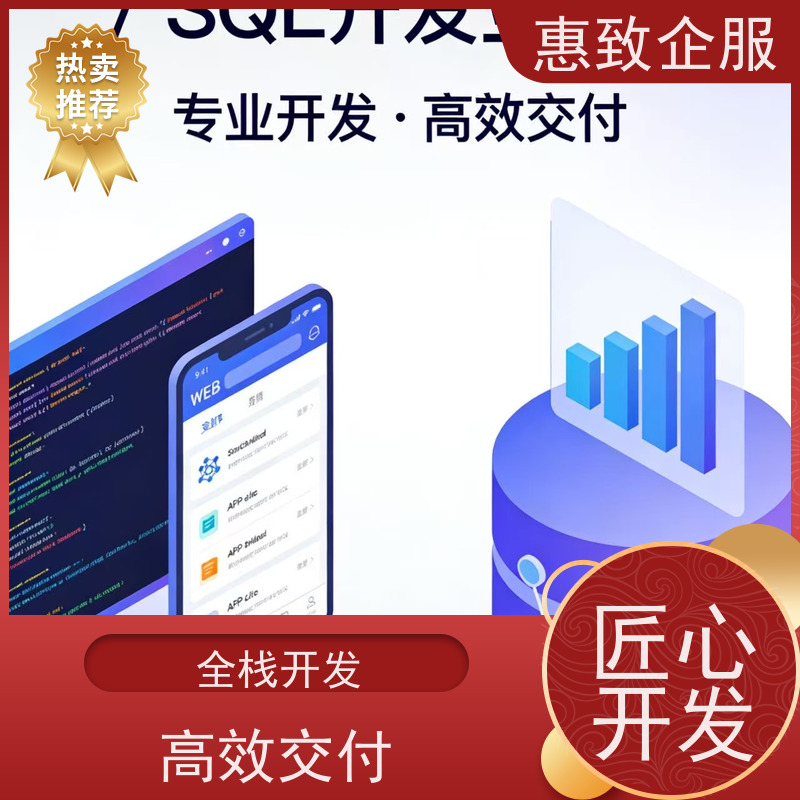 人工智能应用软件开发 高效解决方案 惠致企服 案例丰富