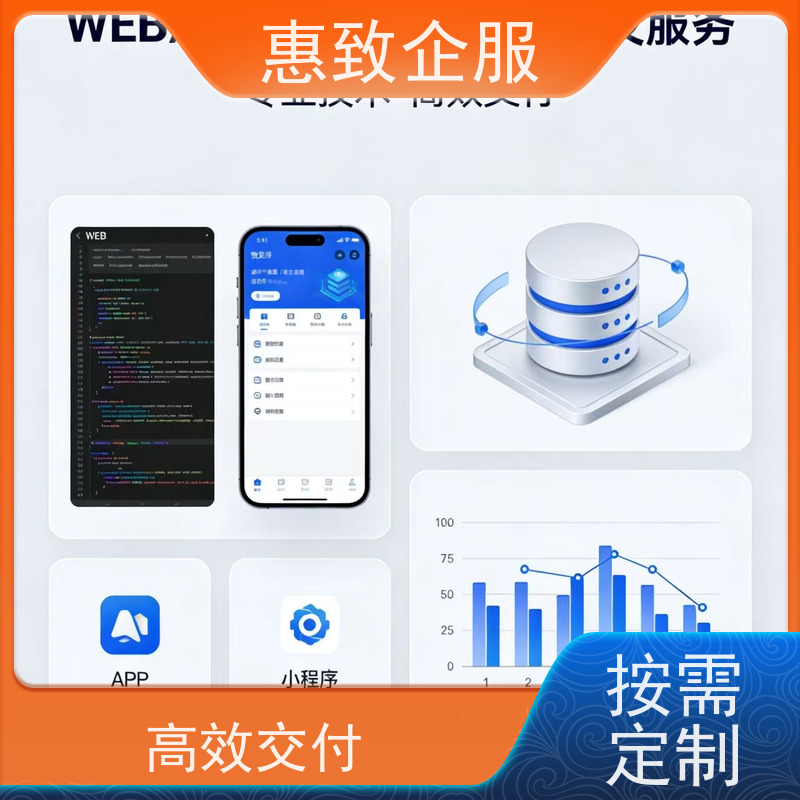 人工智能应用软件开发 高效解决方案 惠致企服 稳定可靠