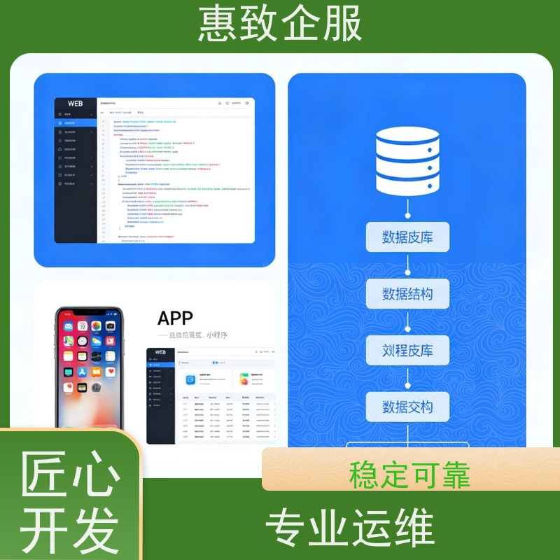 人工智能应用软件开发 高效解决方案 惠致企服 二十多年经验