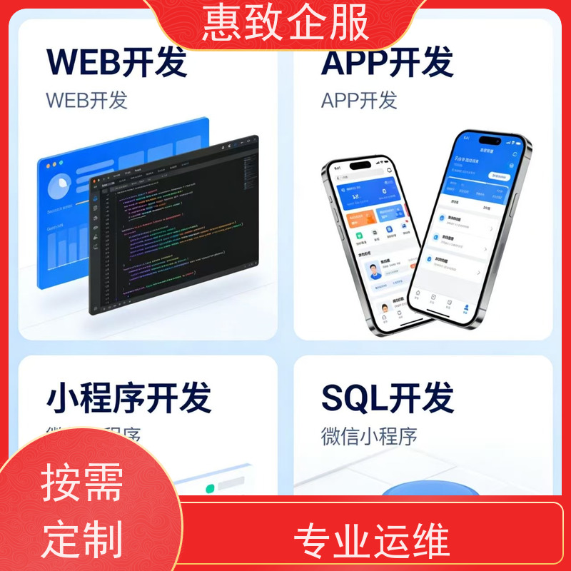 行业软件系统开发定制 高效解决方案 惠致企服 二十多年经验