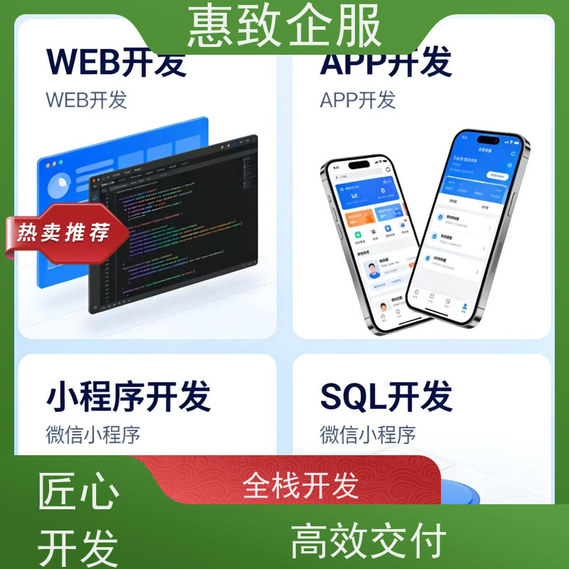 大数据分析软件开发服务 高效解决方案 惠致企服 稳定可靠