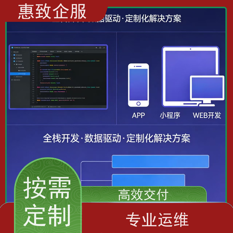 大数据分析软件开发服务 助力企业数字化 惠致企服 二十多年经验