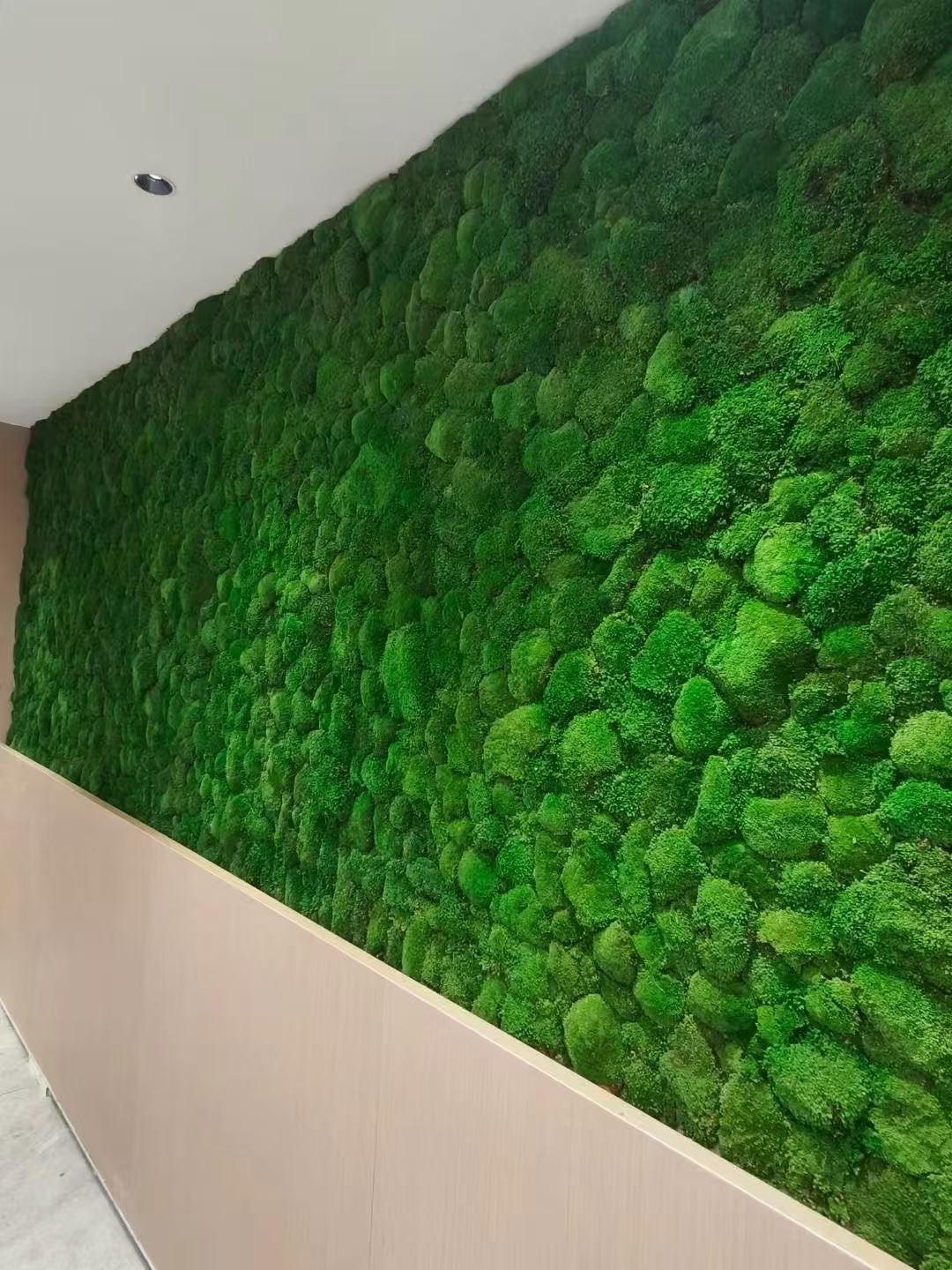 江苏 苔藓地毯  工厂批发