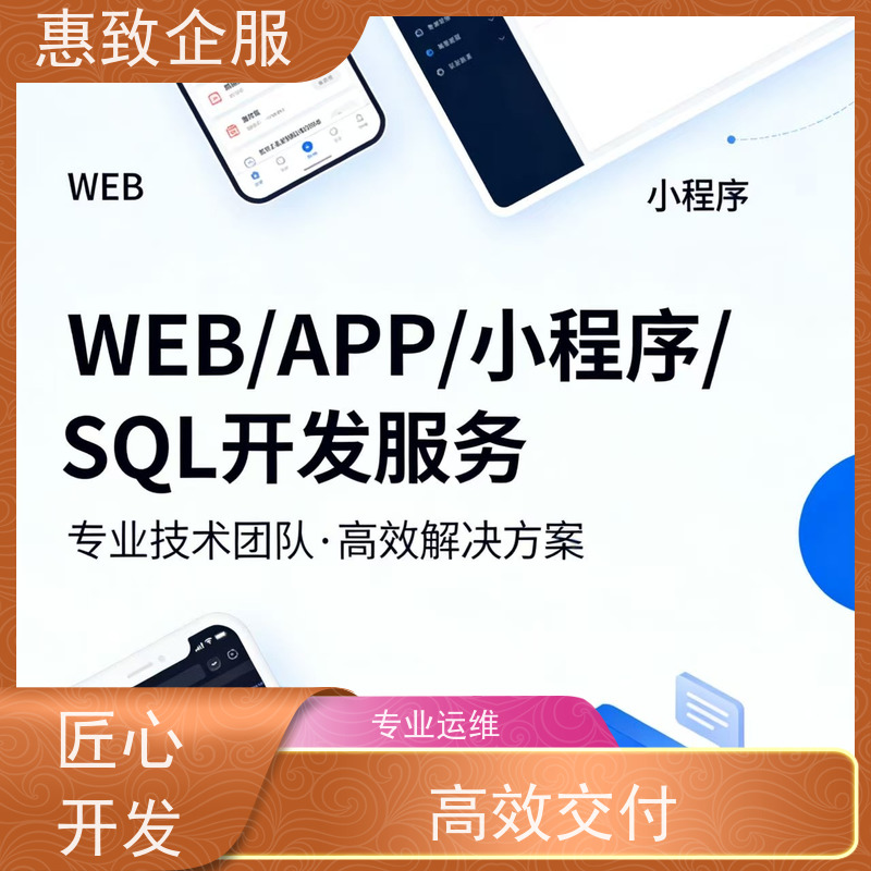 物联网应用软件开发定制 高效解决方案 惠致企服 技术过硬