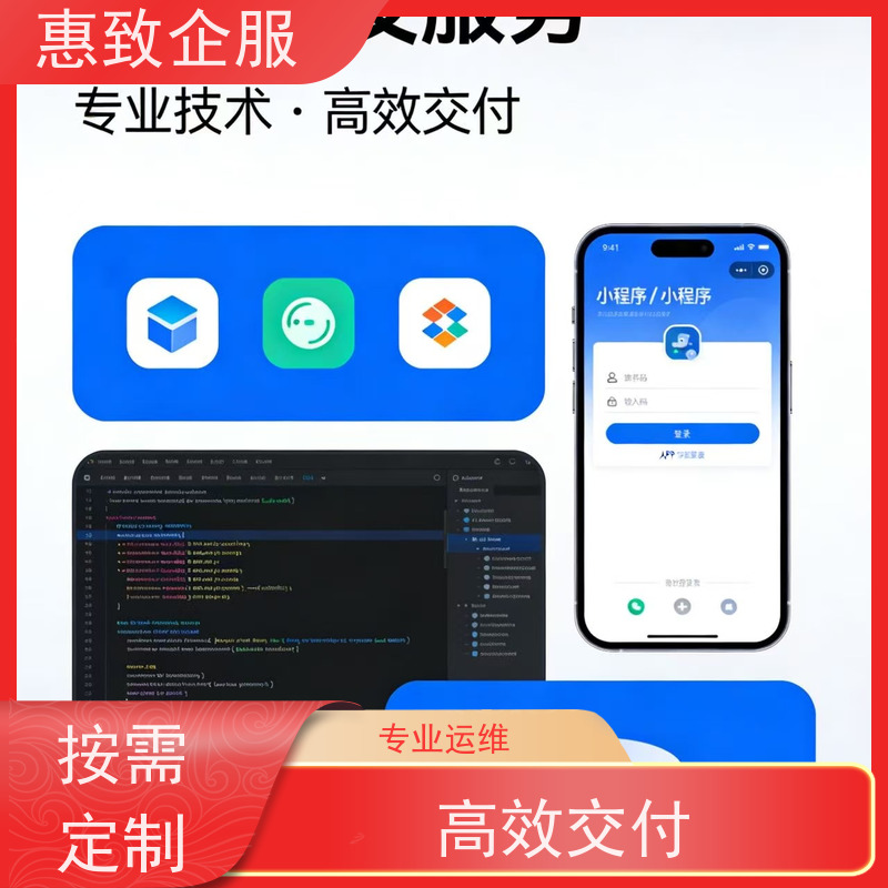 大数据分析软件开发服务 高效解决方案 惠致企服 案例丰富