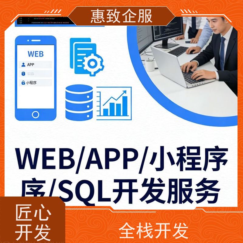 行业软件系统开发定制 高效解决方案 惠致企服 技术过硬