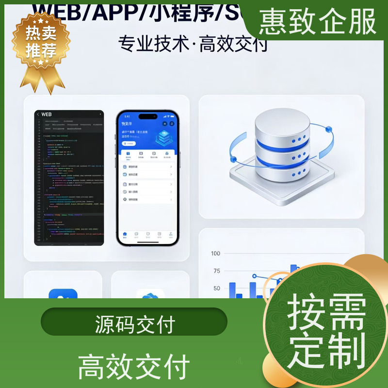 大数据分析软件开发服务 高效解决方案 惠致企服 二十多年经验