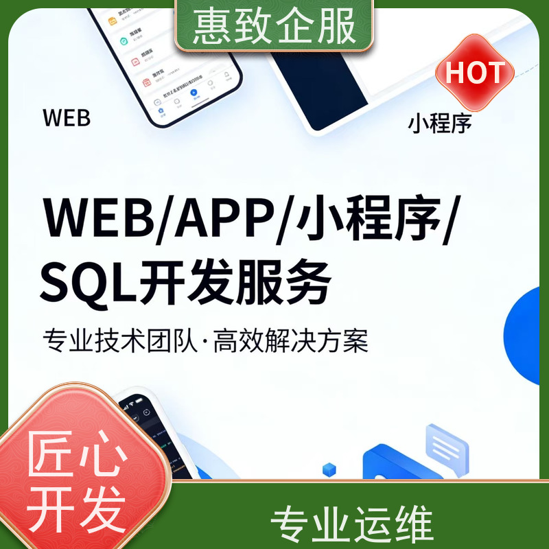 人工智能应用软件开发 高效解决方案 惠致企服 技术过硬