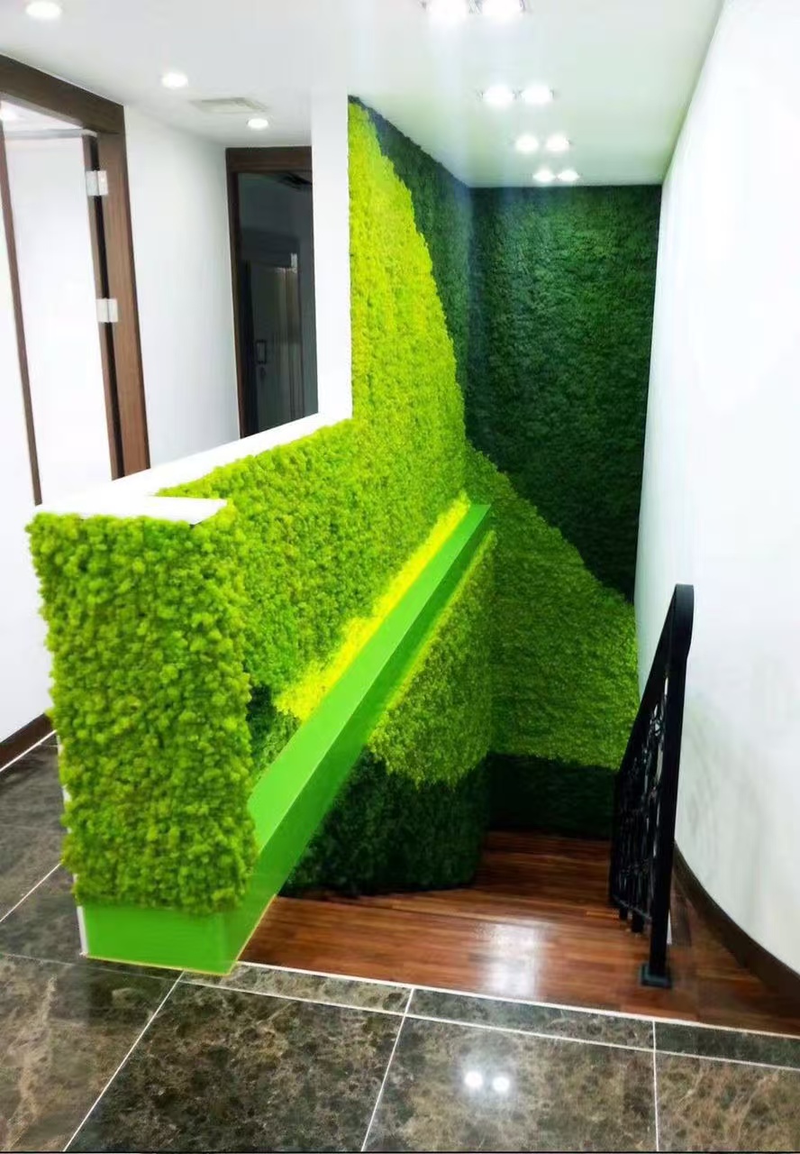 绍兴 苔藓地毯  上门施工