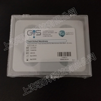 1215058 GVS孔径0.08 um直径25mm  PCTE膜