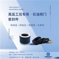 耐腐蚀泵阀密封圈 耐腐蚀泵阀蓄能密封圈 耐腐蚀泵阀密封圈厂家