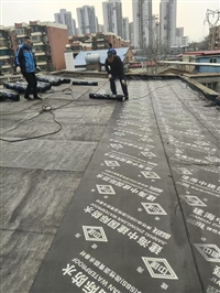 南开区高楼外墙漏水不用愁 高空作业 窗边阳台 外墙缝隙补漏