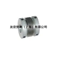 欧洲进口ABP DKPS4848 10/10联轴器