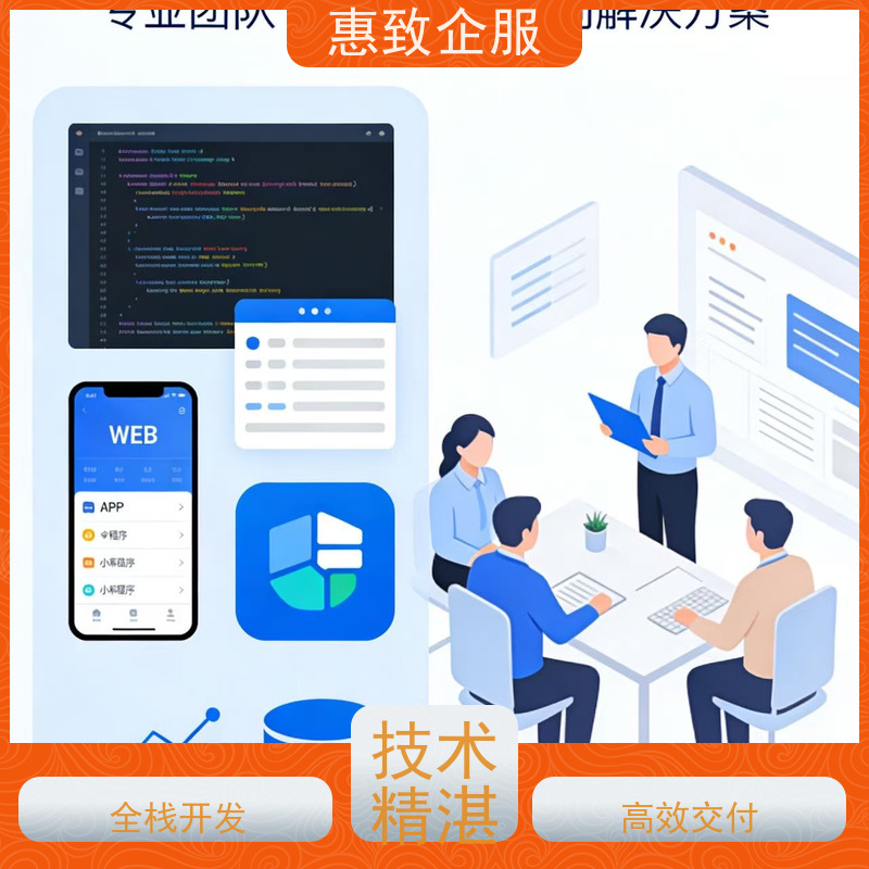 大数据分析软件开发服务 高效解决方案 惠致企服 技术过硬