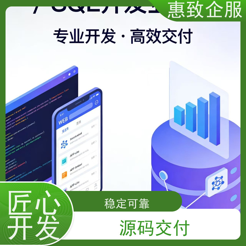 软件定制开发解决方案 助力企业数字化 惠致企服 二十多年经验