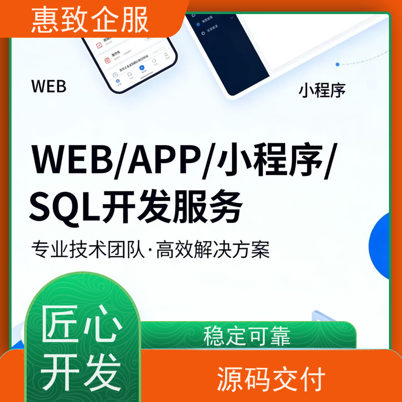 大数据分析软件开发服务 系统安全稳定 惠致企服 案例丰富