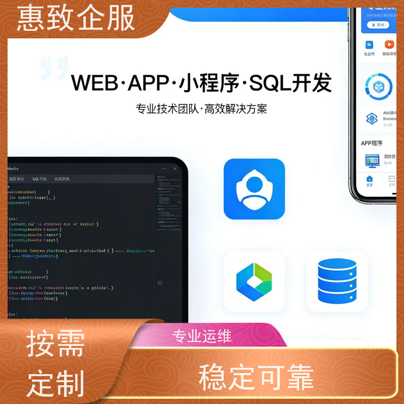 人工智能应用软件开发 一站式定制服务 惠致企服 技术过硬