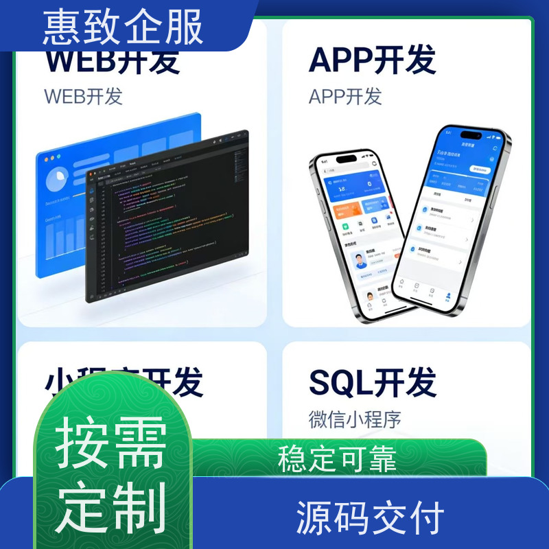 大数据分析软件开发服务 系统安全稳定 惠致企服 二十多年经验
