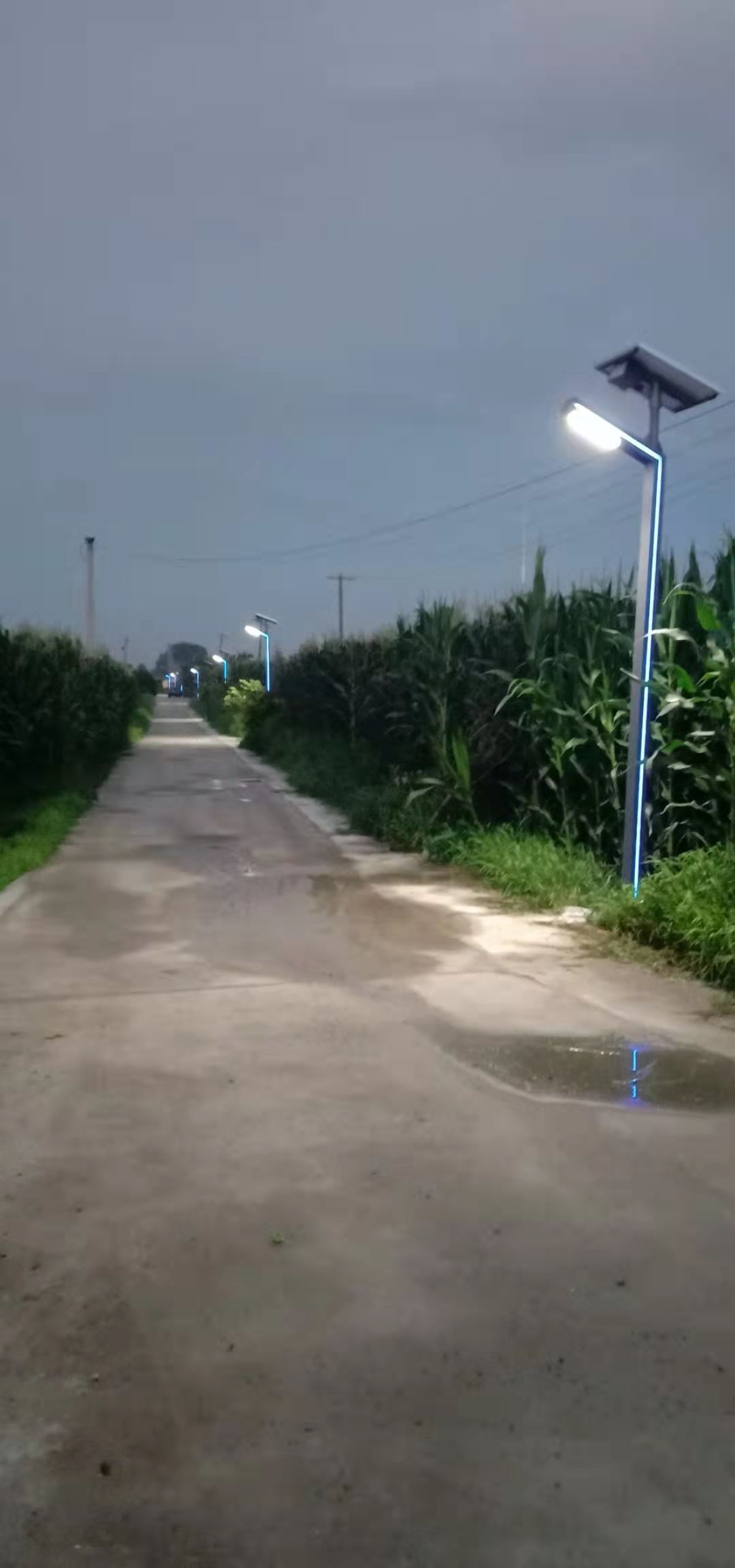 浙江环保节能 泛光灯 草坪灯