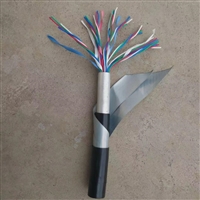 低烟无卤信号电缆NH-DJYVP