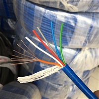 阻燃控制电缆WDZC-KVVRP22