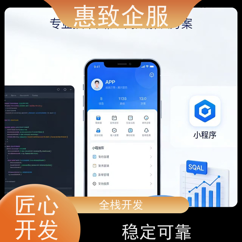 人工智能应用软件开发 助力企业数字化 惠致企服 稳定可靠