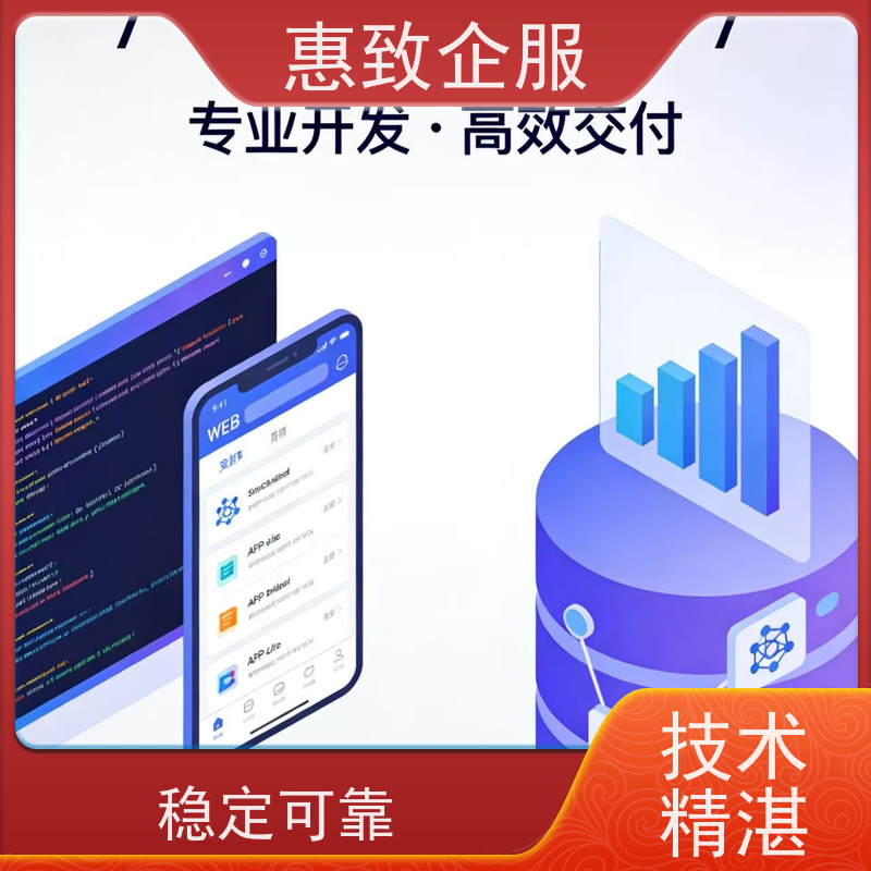 大数据分析软件开发服务 助力企业数字化 惠致企服 稳定可靠