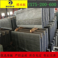 YL75-200-600不锈钢板