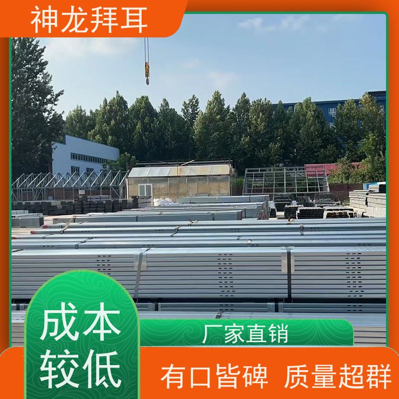 河北神龙拜耳 光伏支架成型机 沉浸式体验 批发