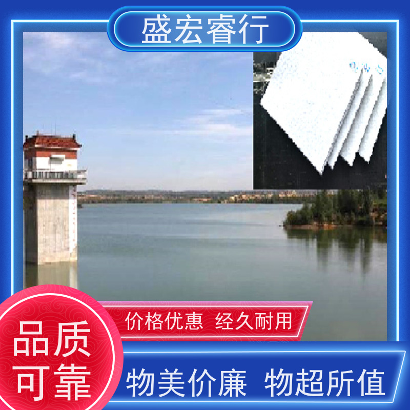盛宏睿行 雨水收集用 水产泥鳅黄鳝养殖 无毒防渗不漏水  复合土工膜