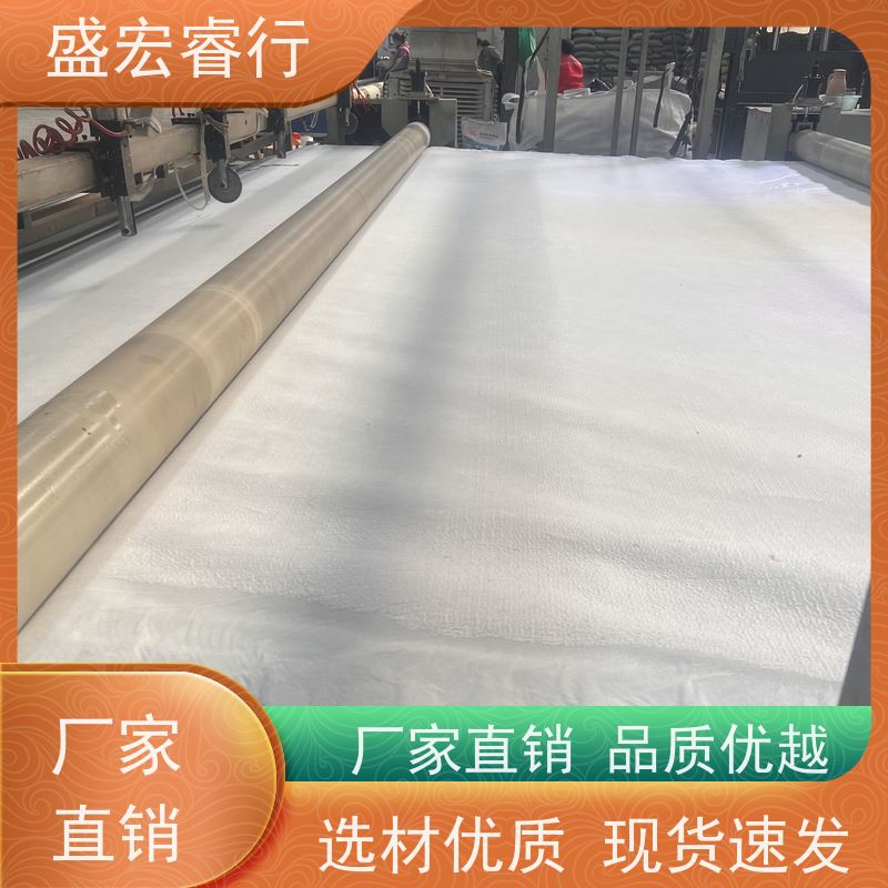 盛宏睿行 食品厂加工废水池 环保无毒防渗  复合膜 两布一膜土工布