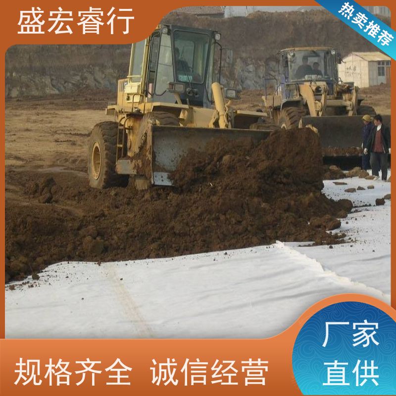 盛宏睿行 FNG土工布  水利堤坝 河道护坡防渗布 定制