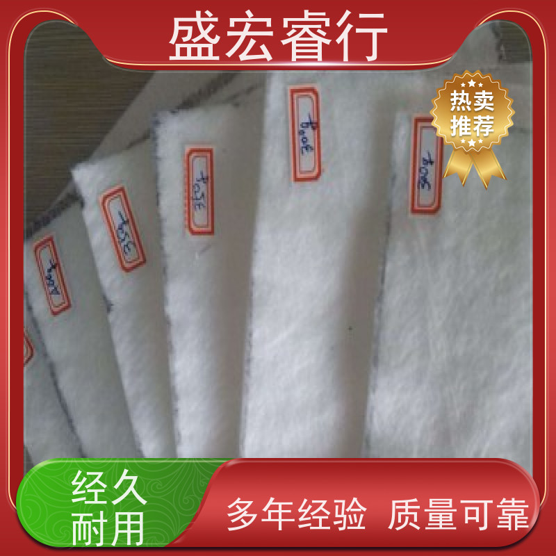 盛宏睿行 FNG土工布  带膜 养殖池护坡防渗防水布