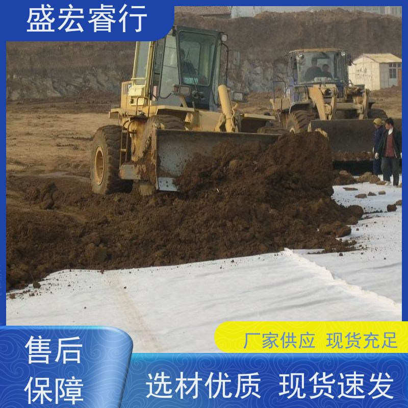 盛宏睿行 FNG土工布  丙纶短丝 河道护坡防渗过滤布