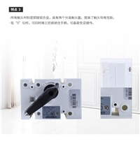 隔离开关ZYCPS-125