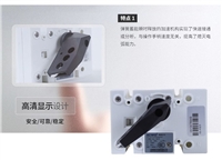 隔离开关YECPS-6.3