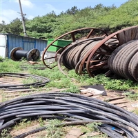 洛阳海缆回收漆包线回收价格电议