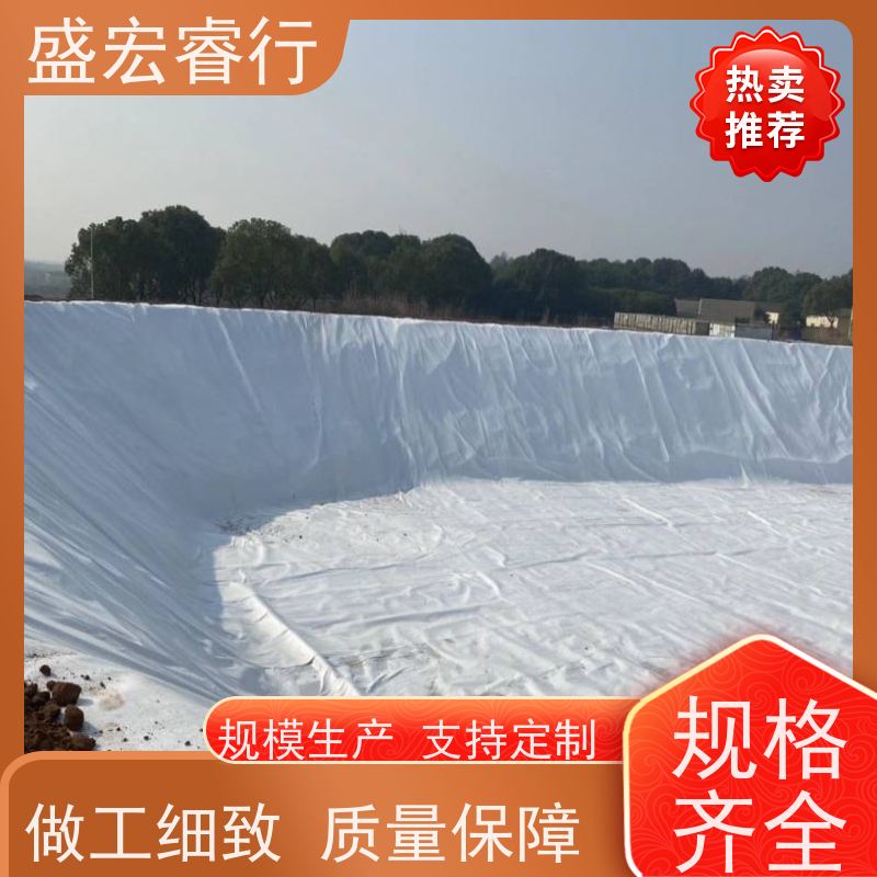 盛宏睿行 土工布  大卷 道路基建防渗加固布 排水无纺布