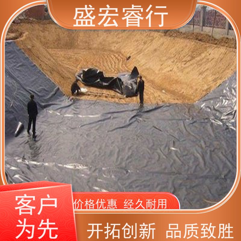 盛宏睿行 0.5PE膜 河道护坡水库防渗膜 黑色 环保专用膜 土工膜