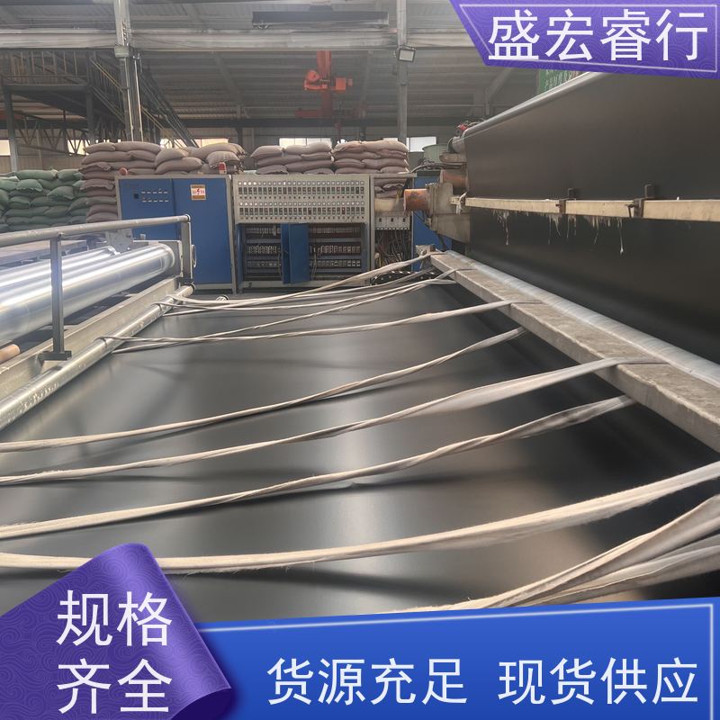 盛宏睿行 PE塑料薄膜 地铁工程 建筑地下室防.渗.膜  防水膜