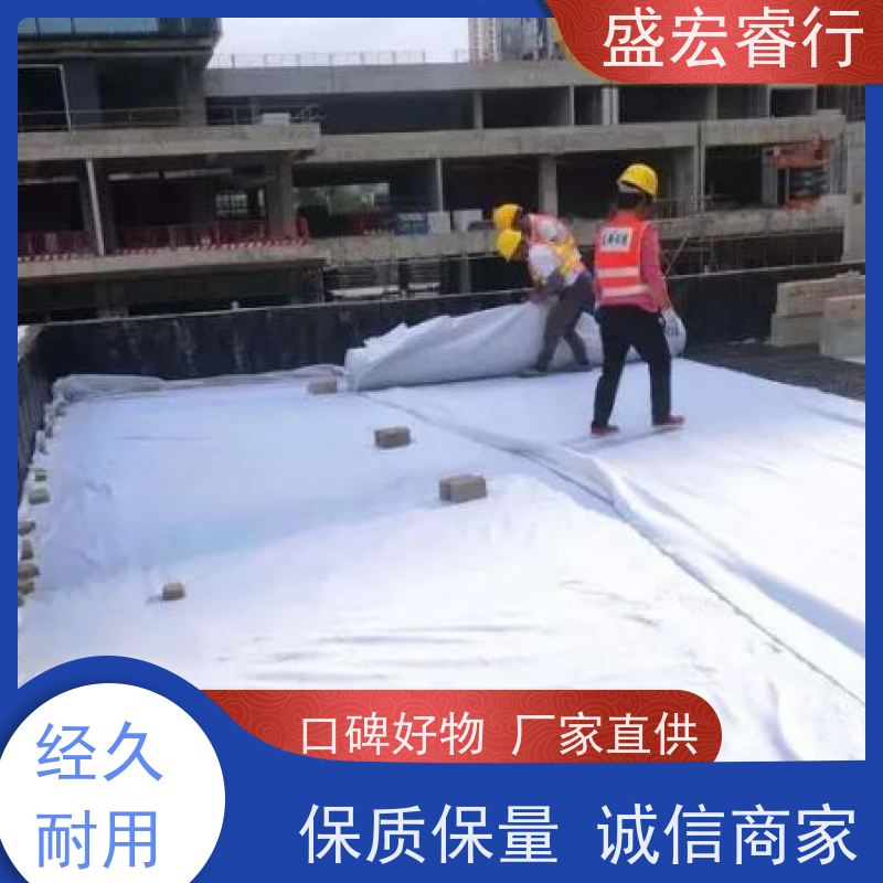 盛宏睿行 FNG土工布  淋膜 大棚保温防水防渗工程布