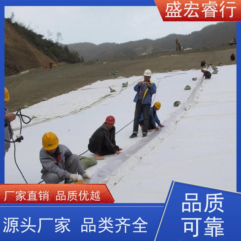 盛宏睿行 雨水收集用 果园灌溉渠 果树种植节水防渗  复合膜