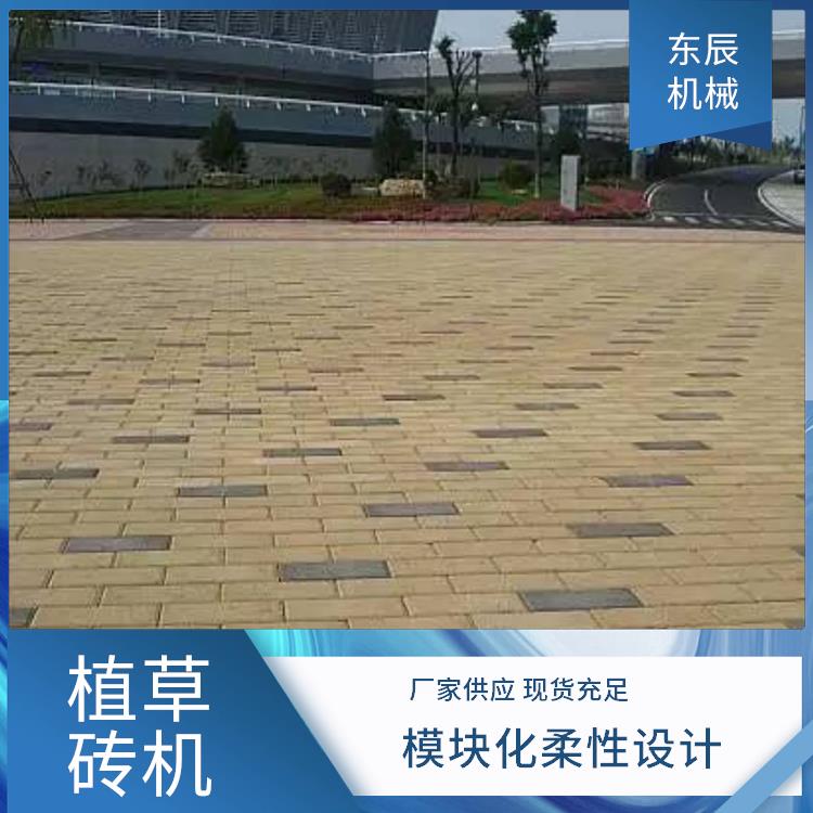 广场砖机 双层布料 防滑耐磨更安全 制品单体重量强度差别小 东辰机械