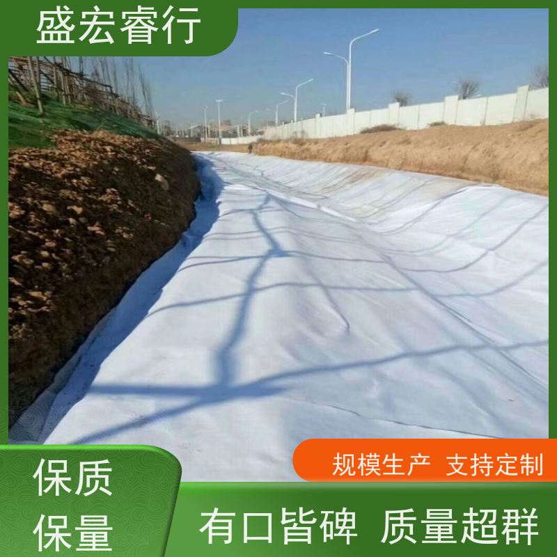 盛宏睿行 SNG土工布  国标短丝 园林绿化防尘盖土布