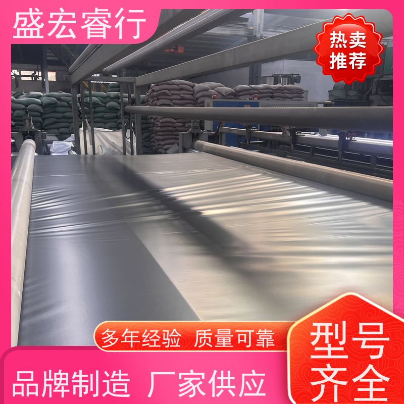 盛宏睿行 塑料薄膜 垃圾填埋场防.渗.膜 黑色  隔离膜