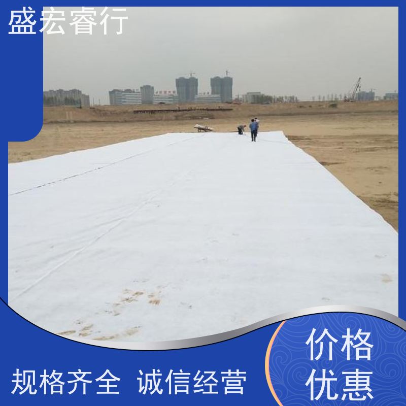 盛宏睿行 FNG土工布  长丝非织造 大型基建项目专用布